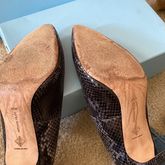 ANTONIO MELANI - SNAKE SKIN PRINT - Picture 5 of 6